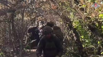 ����� ������ ���������� ������� ������� �������, � ����������