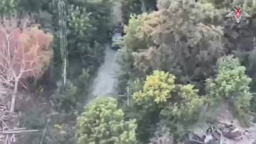 ����� ������ ���������� ������������ ������� �������, � ����������