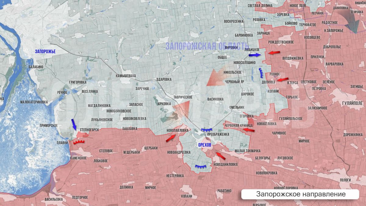 Олег Царёв: Фронтовая сводка 10 октября Олег Царёв: Фронтовая сводка 10 октября