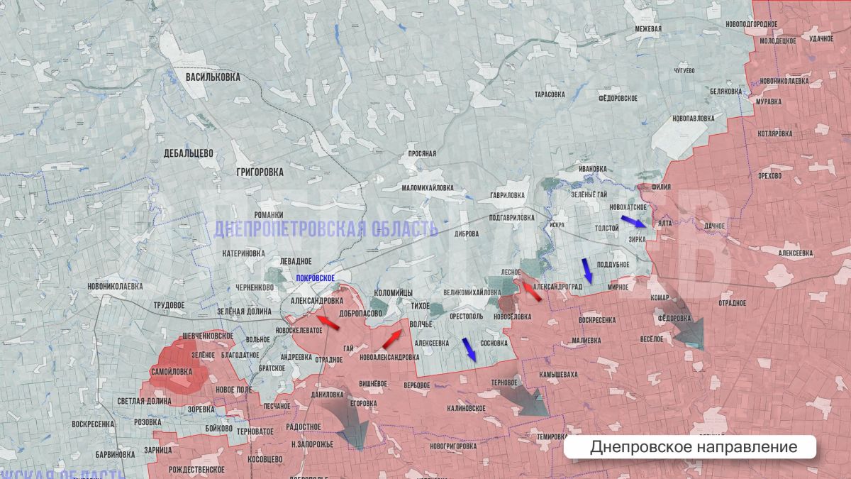 Олег Царёв: Фронтовая сводка. Фронтовая сводка 11 октября Олег Царёв: Фронтовая сводка. Фронтовая сводка 11 октября